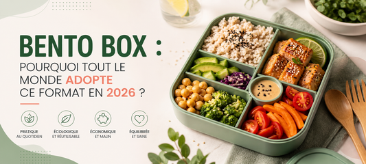 Bento box : pourquoi tout le monde adopte ce format en 2026 ?