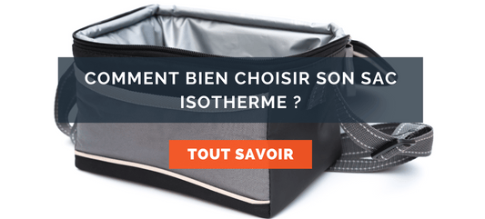 présentation article de blog comment bien choisir son lunch bag ?