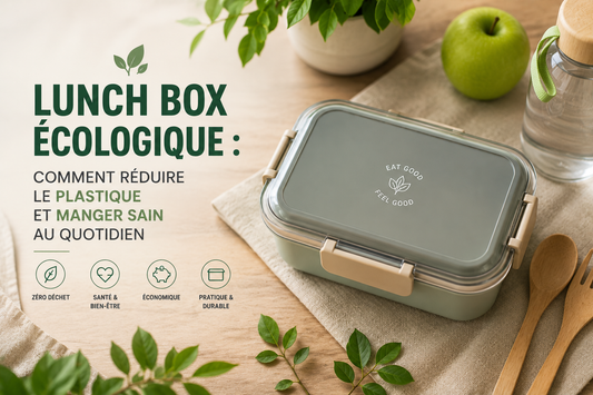 Lunch box écologique : comment réduire le plastique et manger sain au quotidien
