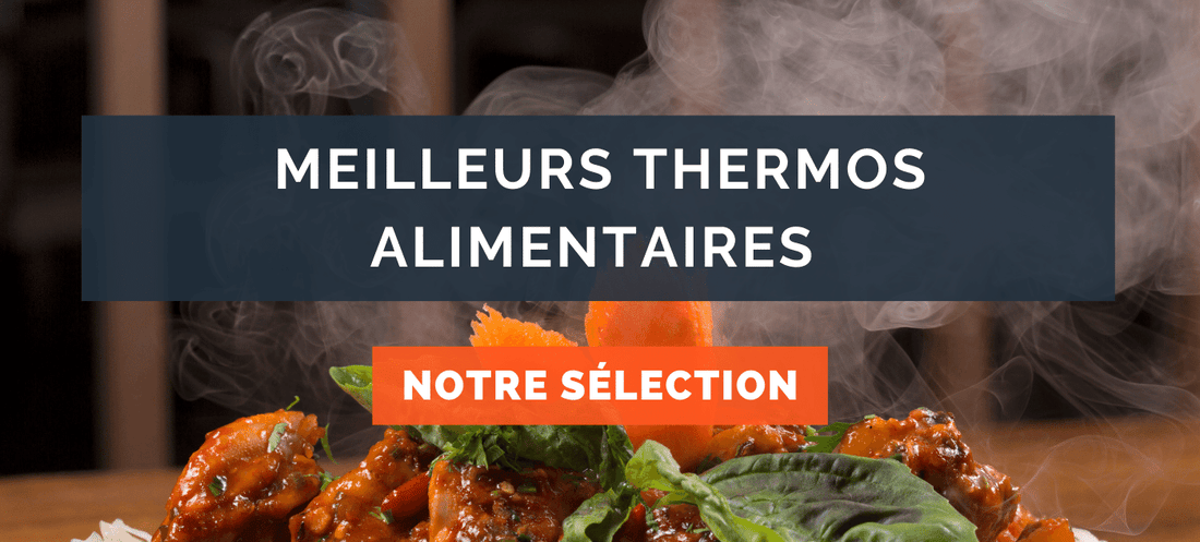 Meilleurs thermos alimentaires : Lequel choisir ?