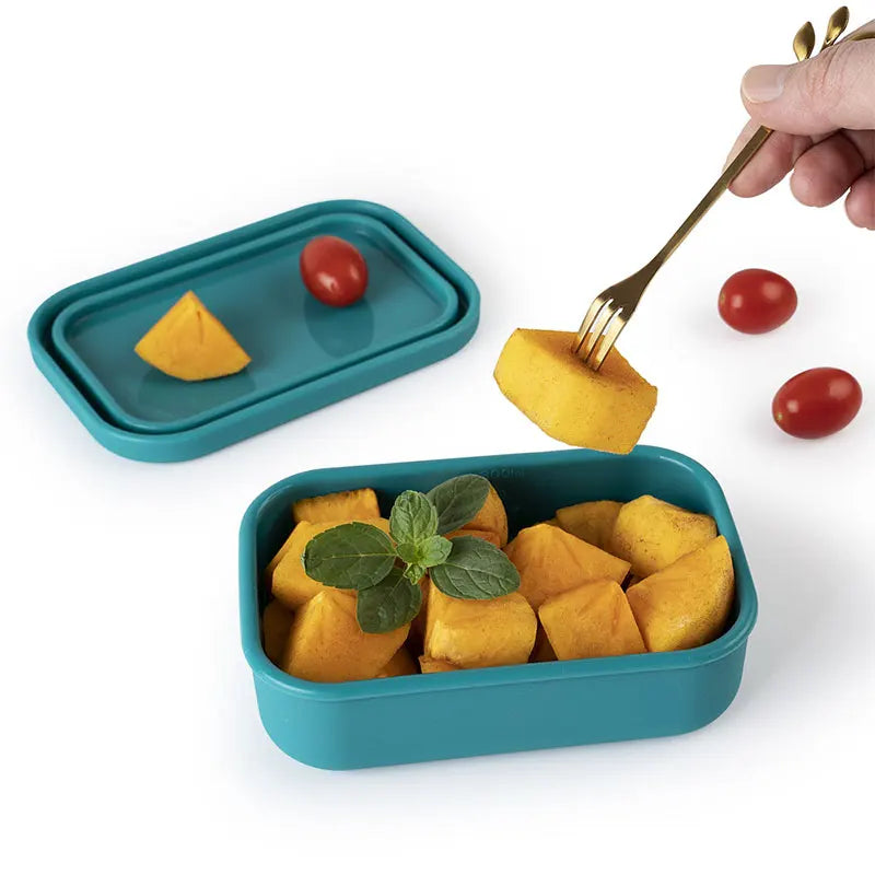 Boîtes de Conservation & Repas en Silicone Réutilisables (300 ml à 2100 ml)