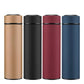Thermos infuseurs variantes couleurs thé boissons
