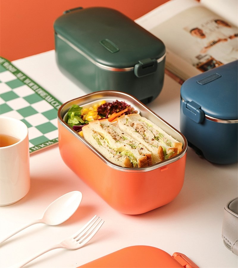lunch box chauffante 220 V